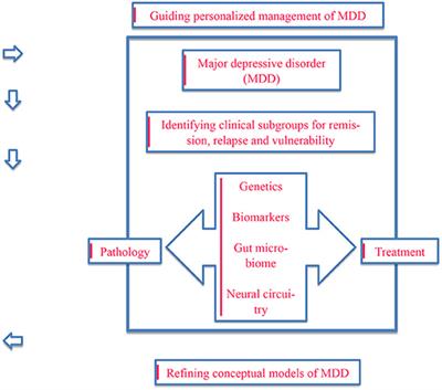 Frontiers | Depression From A Precision Mental Health Perspective ...